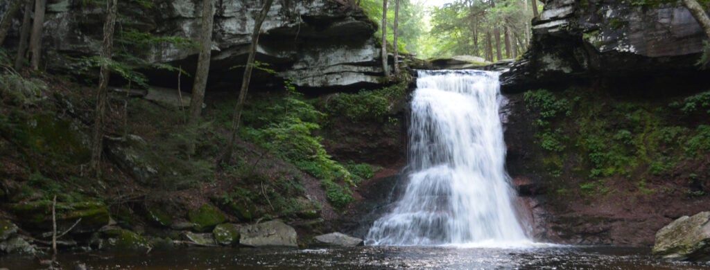 Photo of a waterfall in the forest