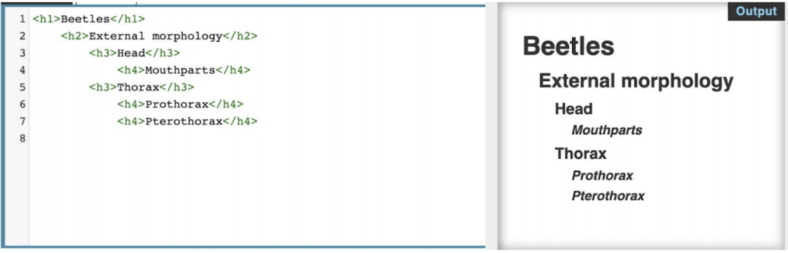 Example of code in the WordPress backend for proper heading structure for a page about Beetles